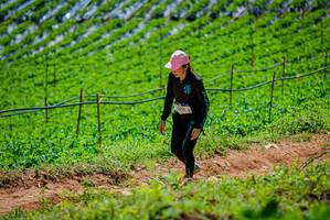 BIB: 
                            <button type="button" onclick="openModal(19164740)" class="btn btn-primary btn-sm float-right btn-popup" data-toggle="modal" data-target=".modal-high-quality">
                        <i class="fas fa-shopping-cart"></i> Add to Cart
                    </button>
                                            <button type="button" onclick="isThisMe(19164740, true)" class="btn btn-success btn-sm float-right btn-popup btn-isme hidden" data-toggle="tooltip" data-placement="bottom" title="นี่คือรูปของคุณใช่ไหม คลิกที่นี่เพื่อเอาเข้าอัลบั้ม">
                        <i class="fas fa-plus"></i> Add to album
                    </button>
                    <button type="button" onclick="isThisMe(19164740, false)" class="btn btn-warning btn-sm float-right btn-popup btn-isnotme hidden">
                        <i class="fas fa-ban"></i> Remove from album
                    </button>